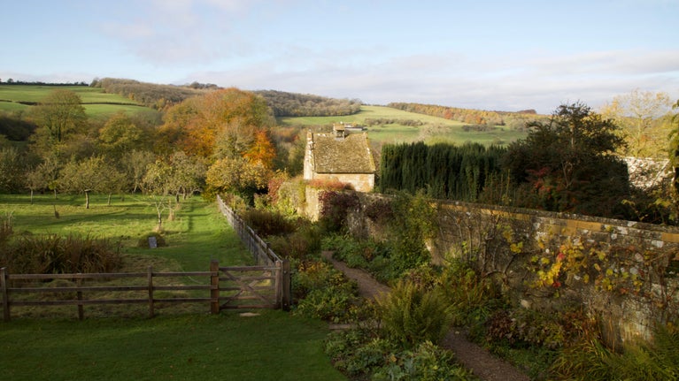 Autumnal view across a fenced orchard, with an old garden wall and building in the distance